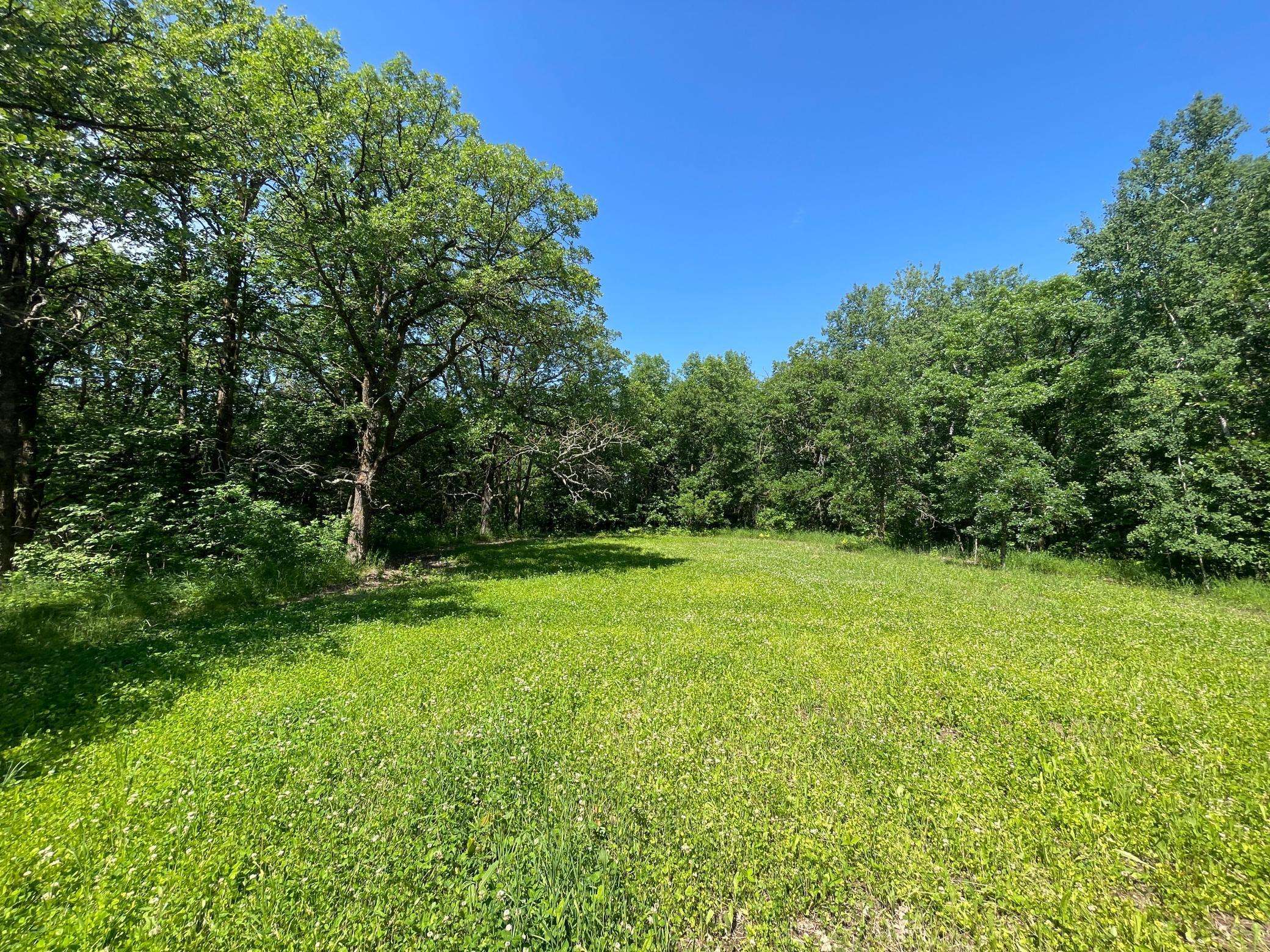 Beaulieu Twp, MN 56557,TBD CSAH 14