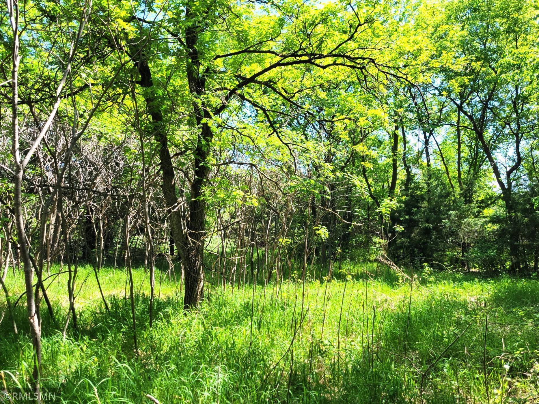 South Haven, MN 55382,14XXX County Road 44