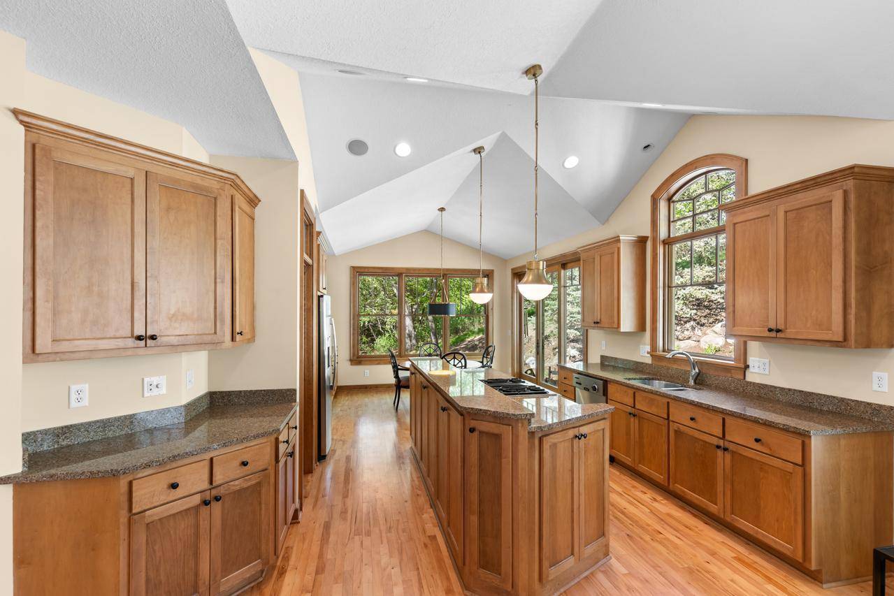 Eden Prairie, MN 55346,13209 Holasek LN