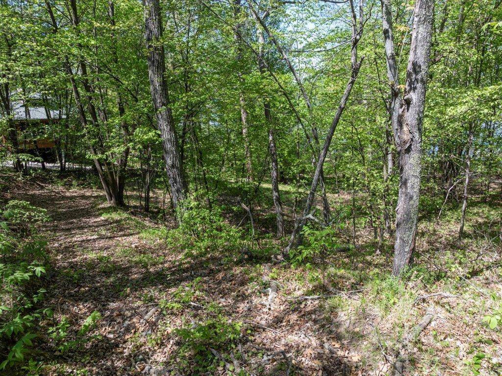 Pequot Lakes, MN 56472,L6B1 Wallins South Shore DR