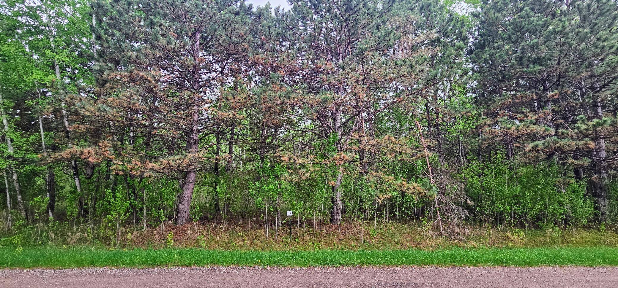 Aitkin, MN 56431,30147 Owl AVE