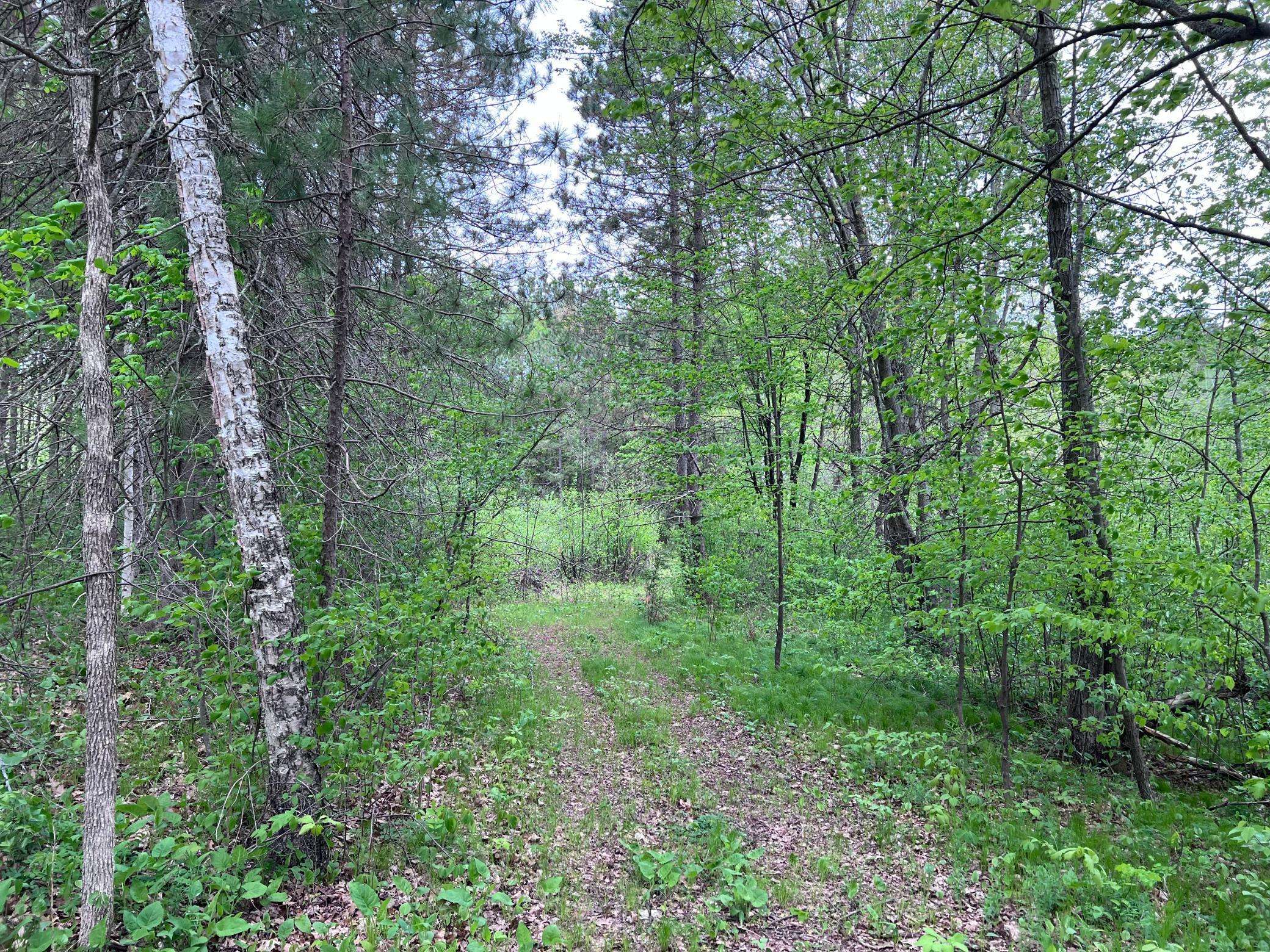 Emily, MN 56447,LOT 9 BLOCK 1 Yellow Birch LN