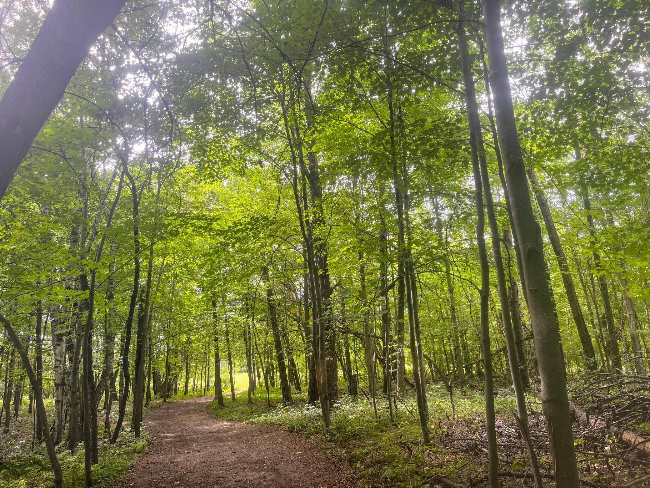 Sunrise Twp, MN 55032,76xx 470th Street