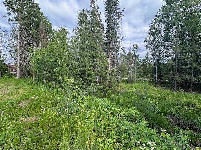 Ely, MN 55731,2224 Spalding DR