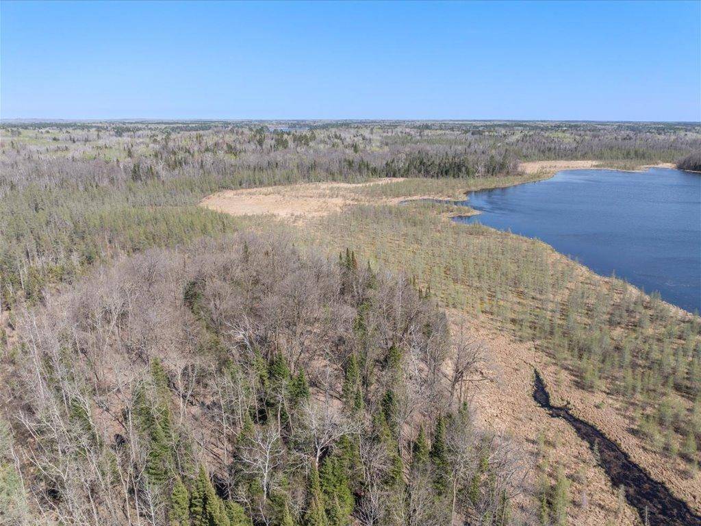 Lake Emma Twp, MN 56470,TBD xxx