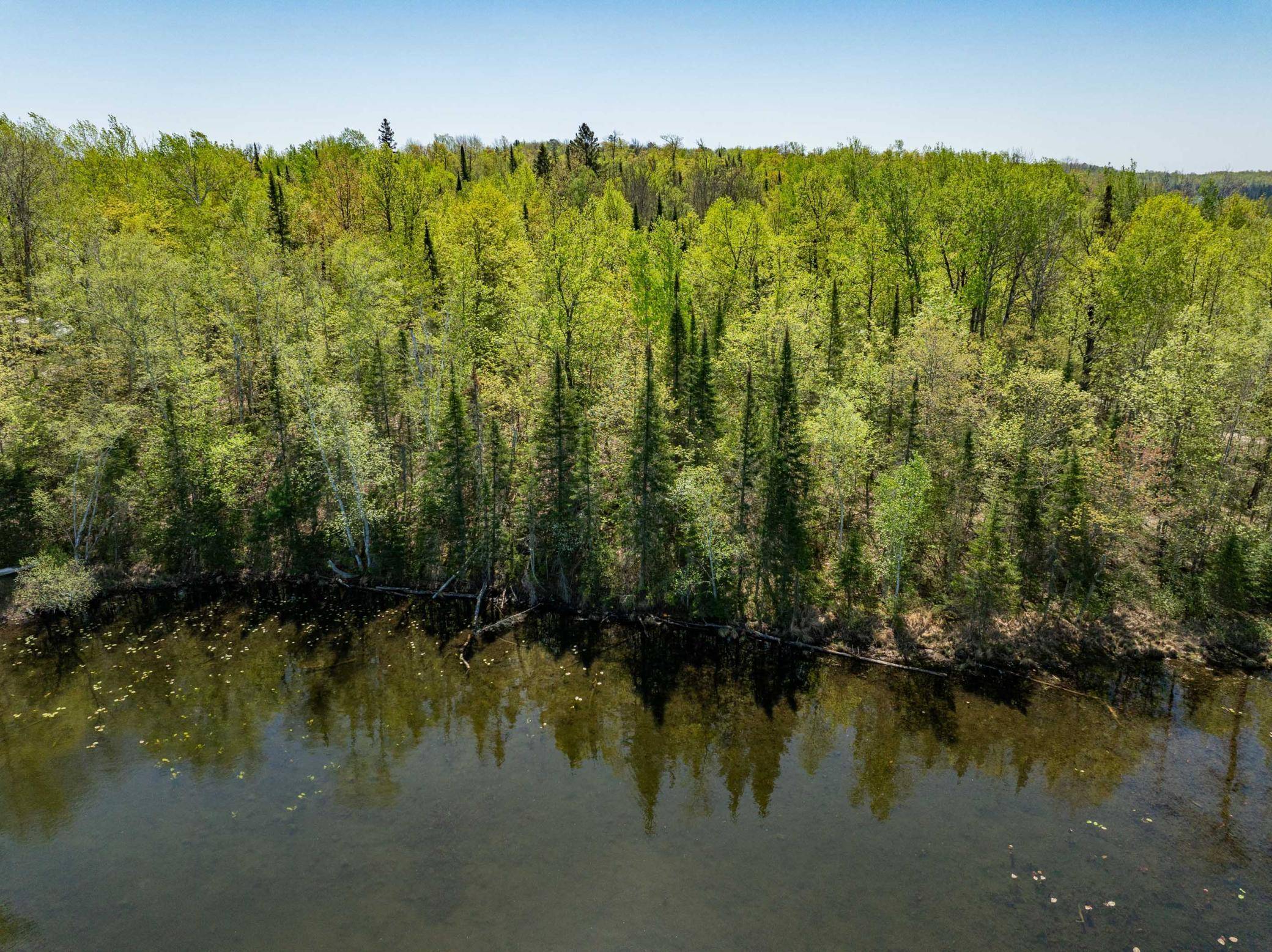 Deer River, MN 56636,XXX West Amen Lake Road