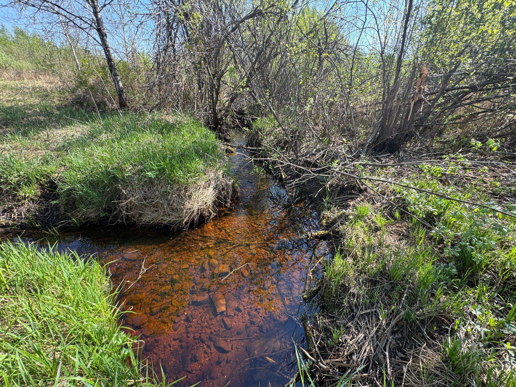 Kettle River, MN 55757,TBD Skog RD