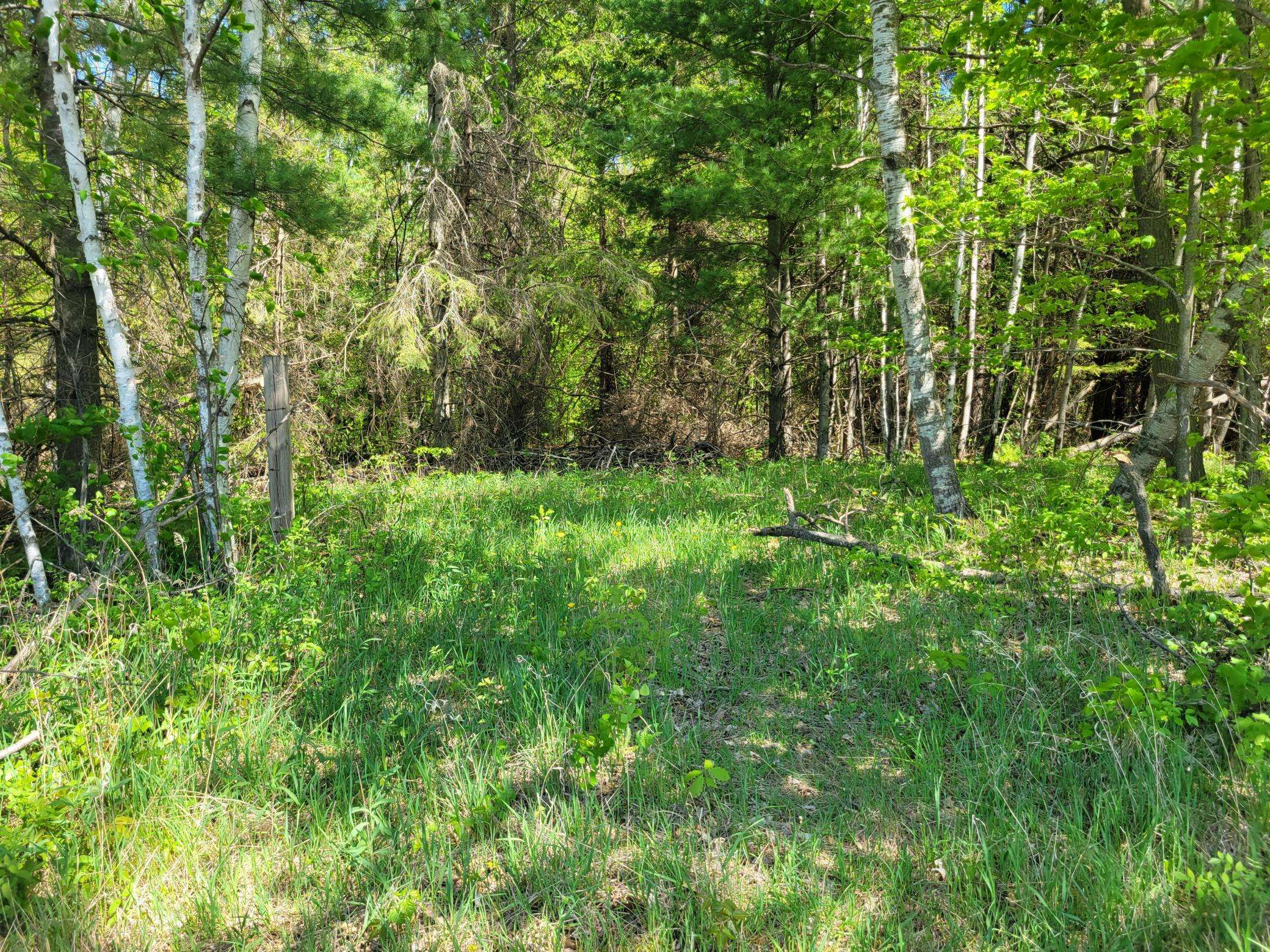 Beaver Twp, WI 54889,TBD 125th AVE