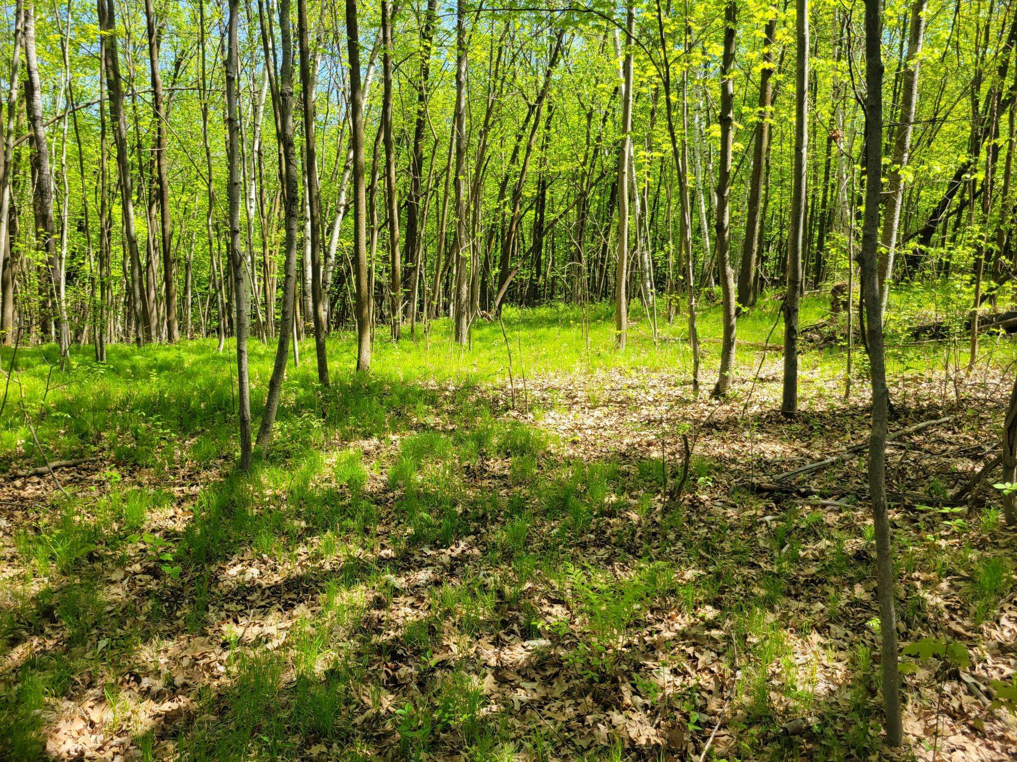 Beaver Twp, WI 54889,TBD 125th AVE