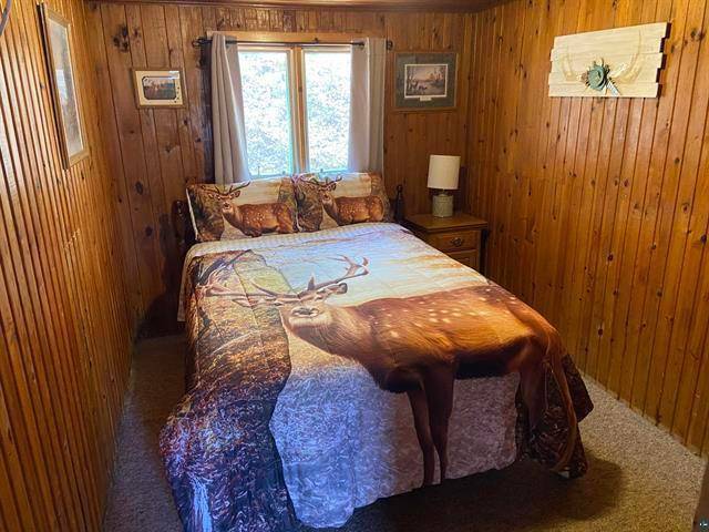 Delta, WI 54847,12770 Scenic DR