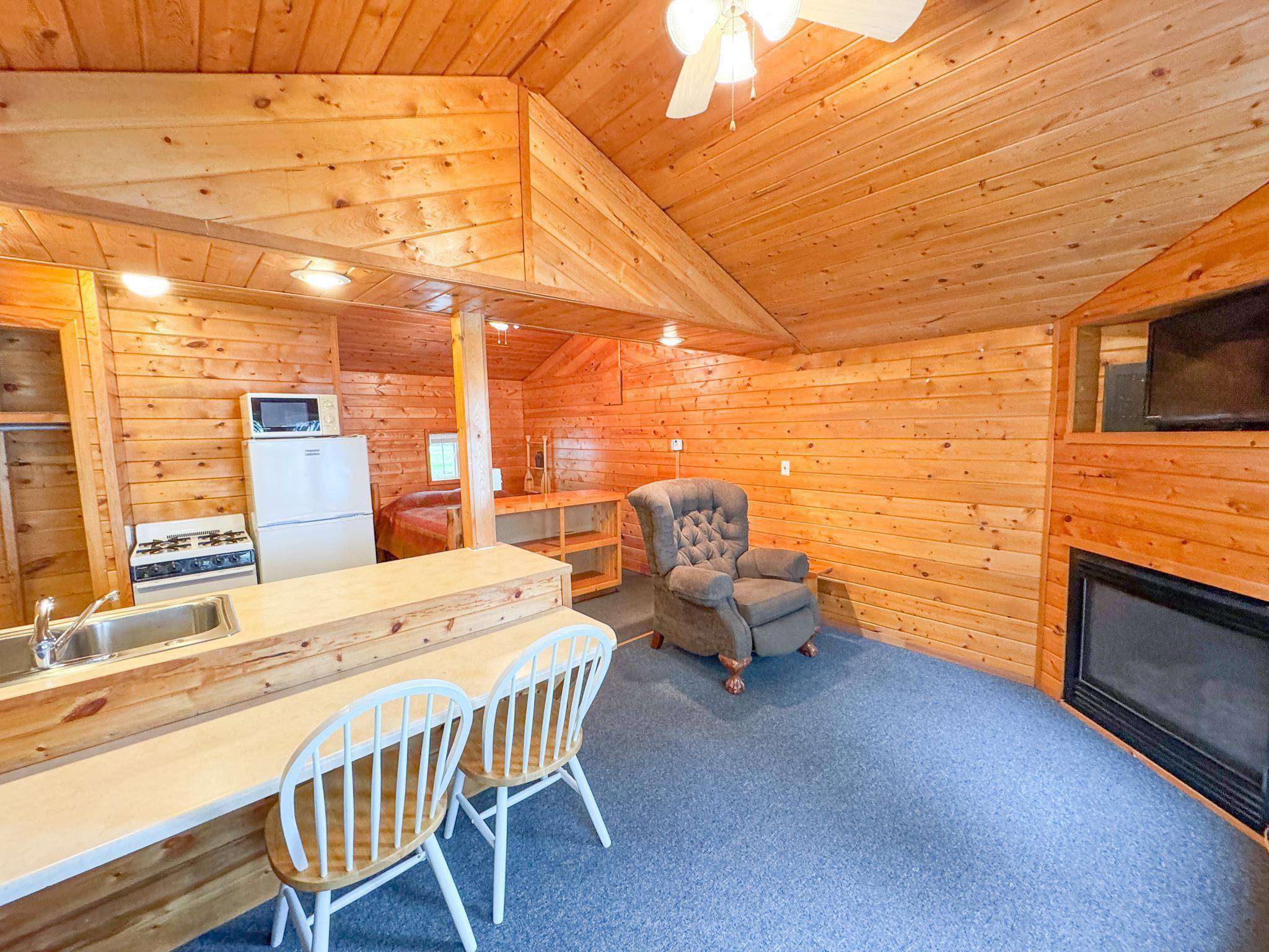 Battle Lake, MN 56515,27621 Co Hwy 83 #2