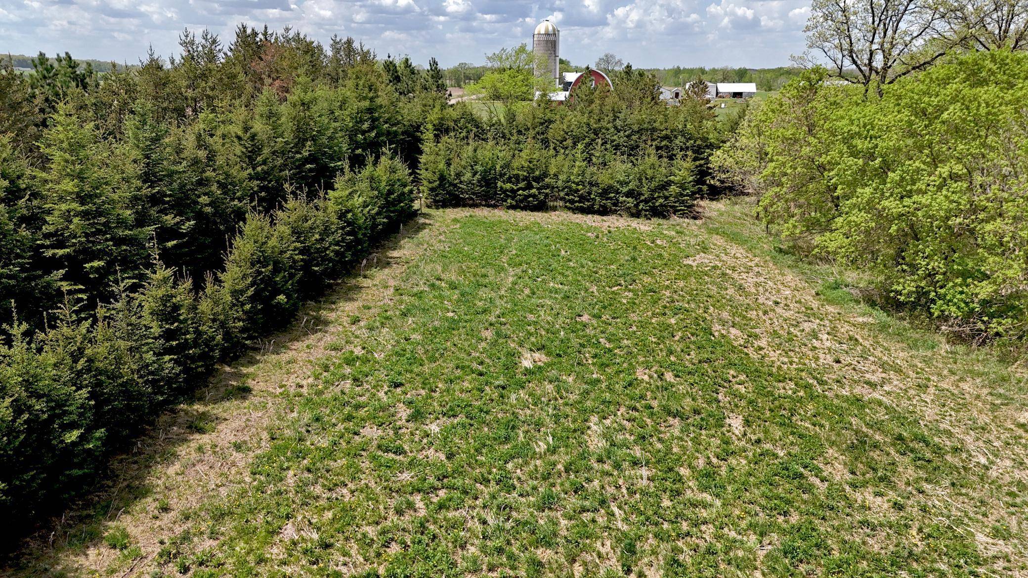 Fort Ripley, MN 56449,TBD Corner Trail RD