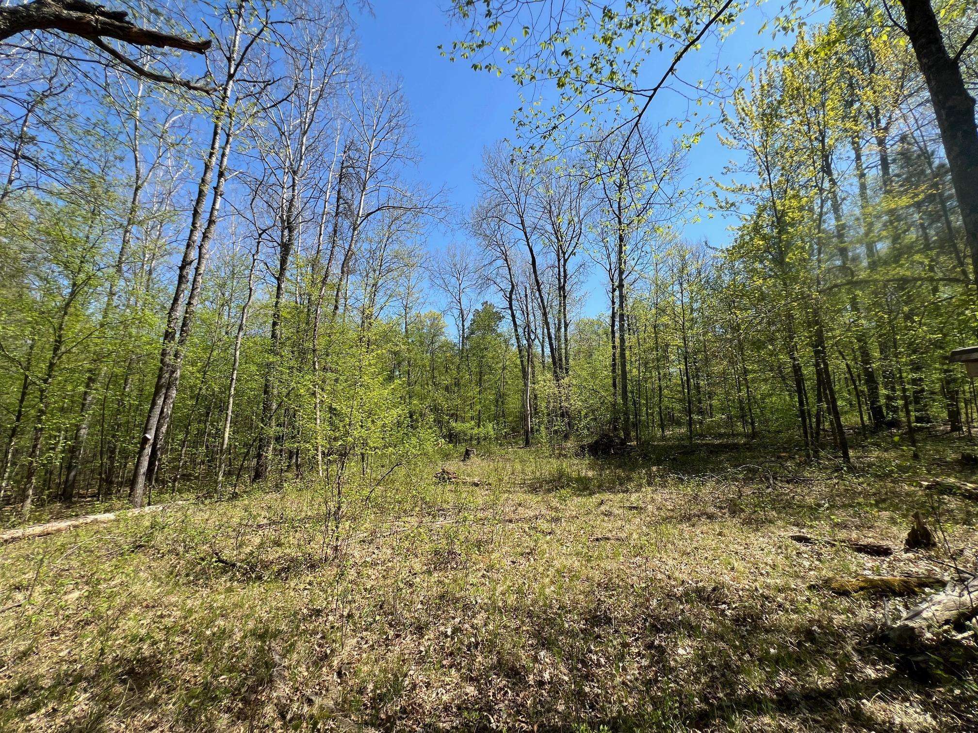 Webb Lake, WI 54830,Lot 13 Hide Away TRL