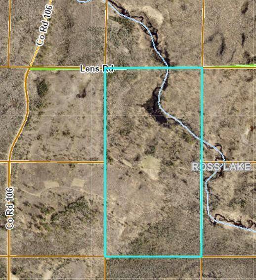 Ross Lake Twp, MN 56447,25343 Lens RD