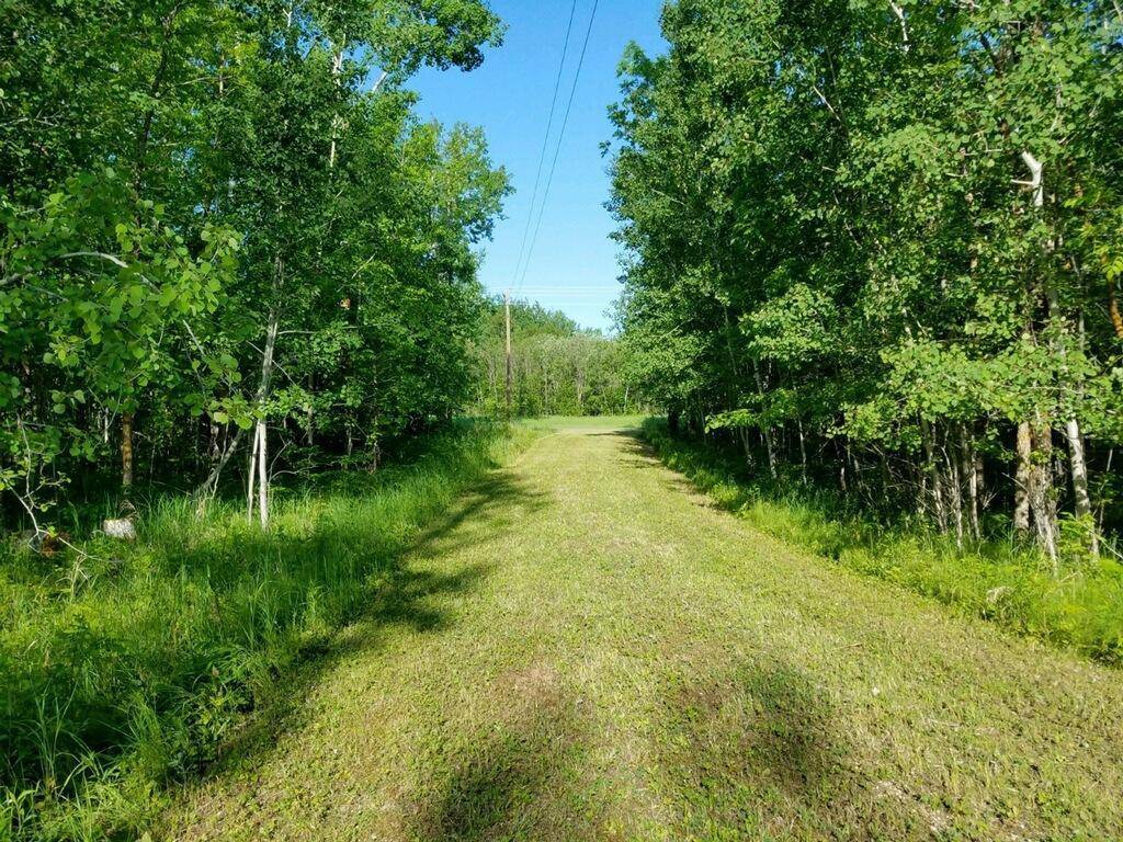 Williams, MN 56686,6708 70th AVE NW