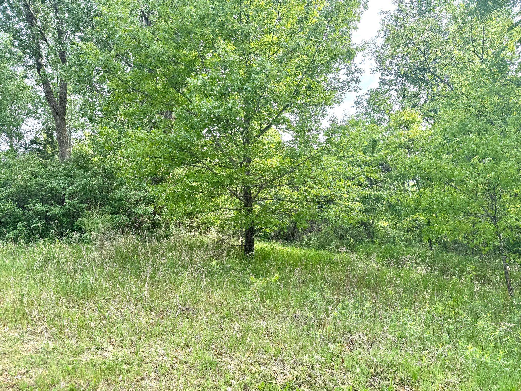 Sunrise Twp, MN 55032,Parcel A 26 AC 470th ST