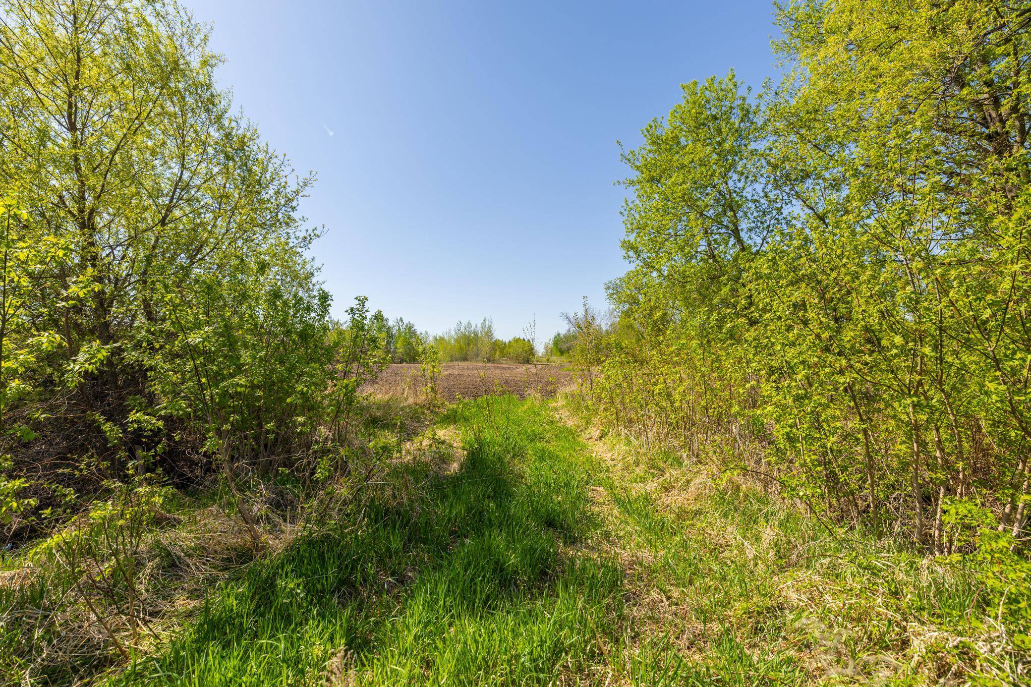 Sunrise Twp, MN 55032,Parcel B 27+/-AC 470th ST