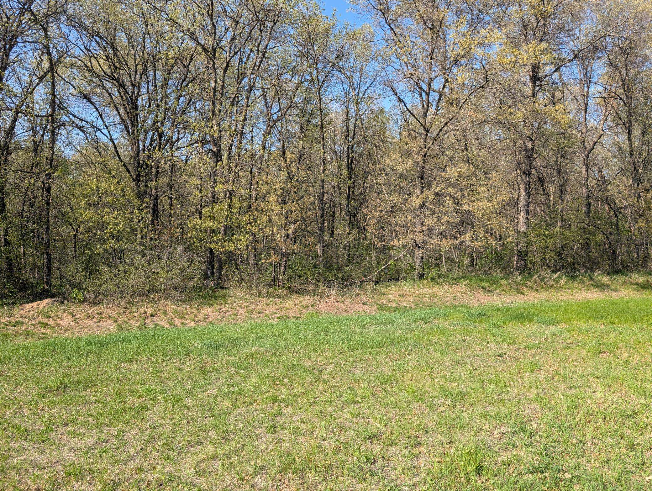 Pillager, MN 56473,TBD Arbor LN SW