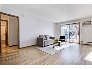 Hopkins, MN 55343,709 11th AVE S #5