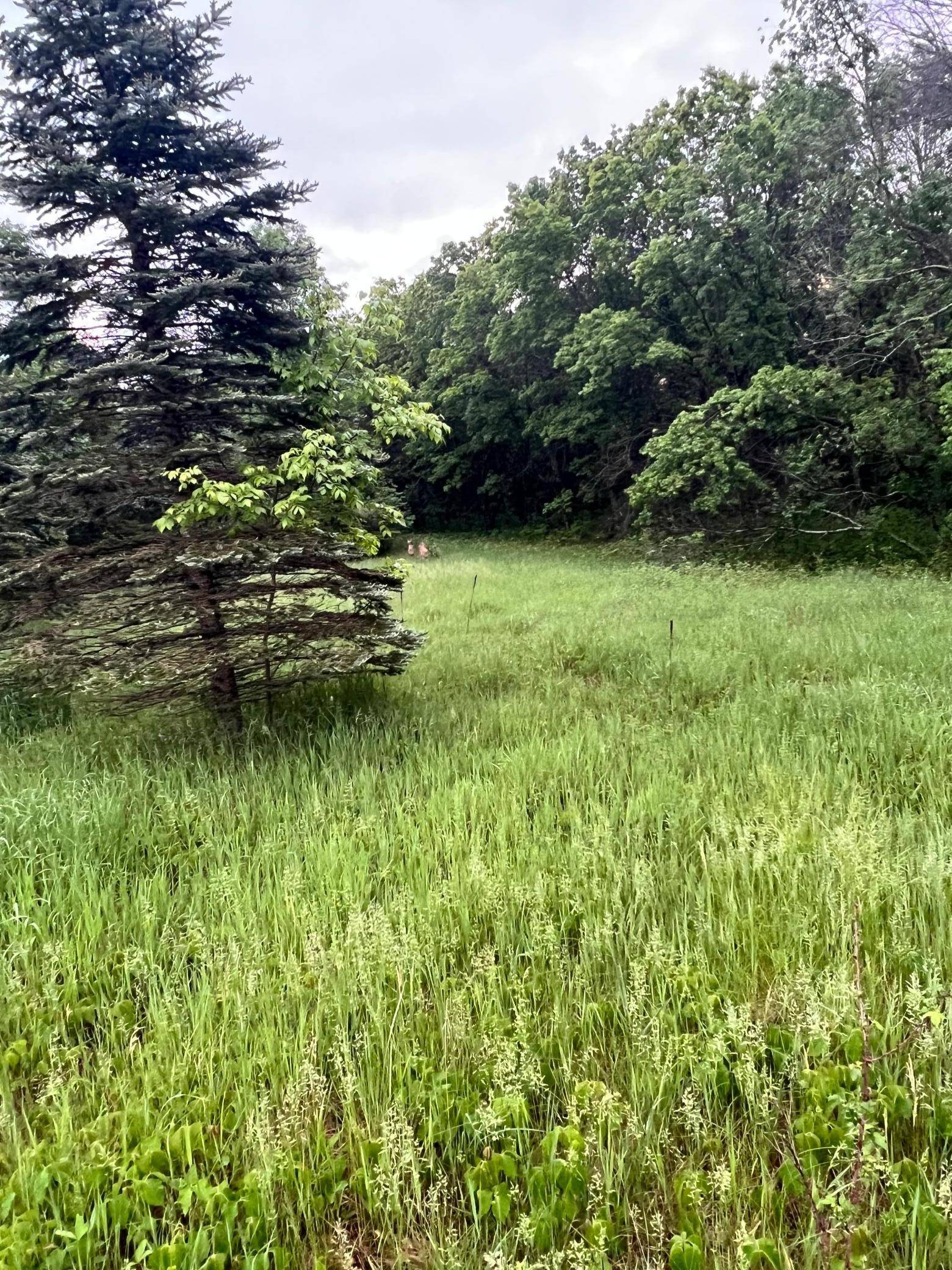 Orrock Twp, MN 55309,TBD 174th ST NW
