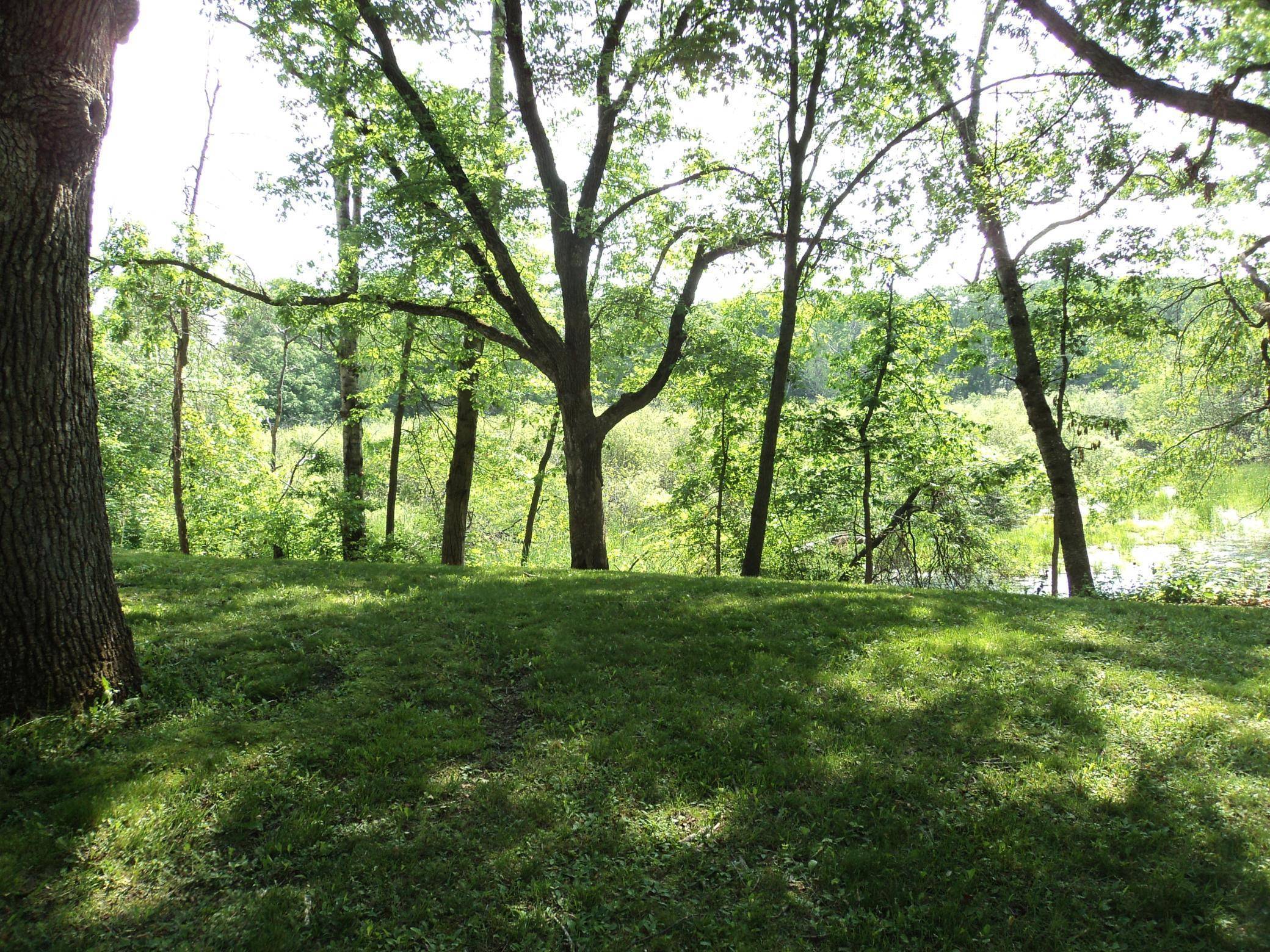 Dellwood, MN 55110,42 Eldorado CIR