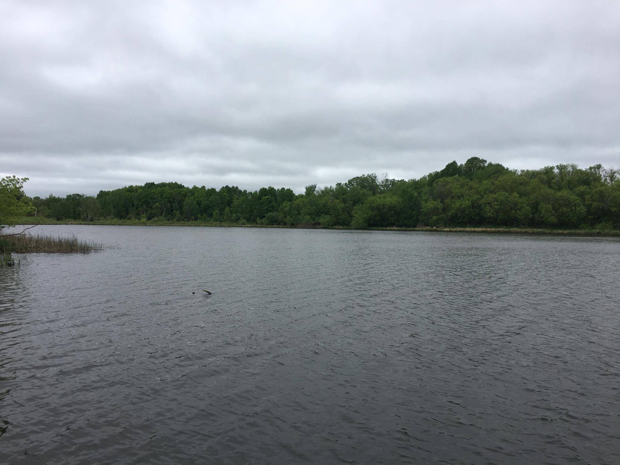 Stanchfield Twp, MN 55080,39937 Buchanan ST NE