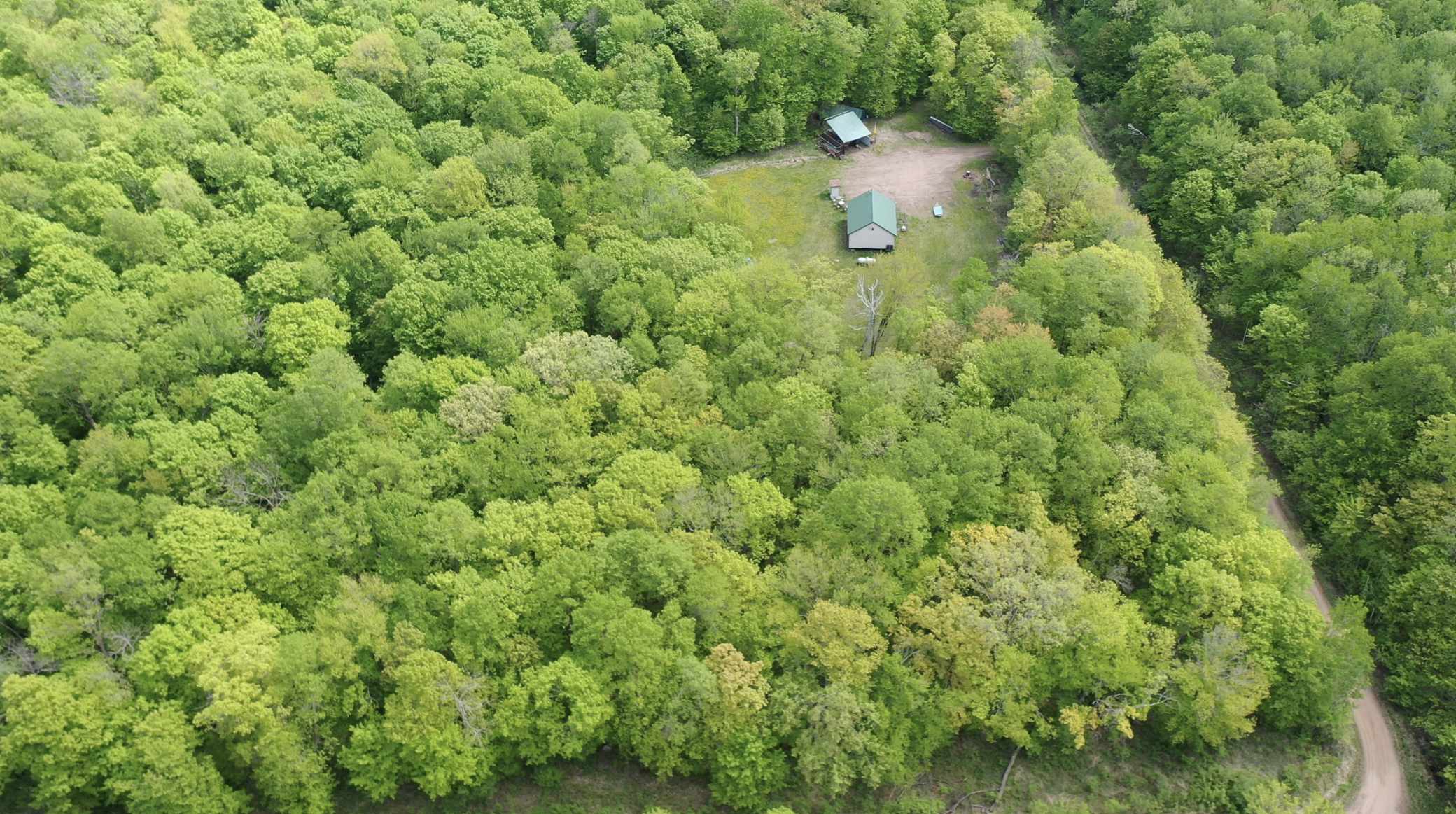 Dailey Twp, MN 56338,XXCB Merlin RD