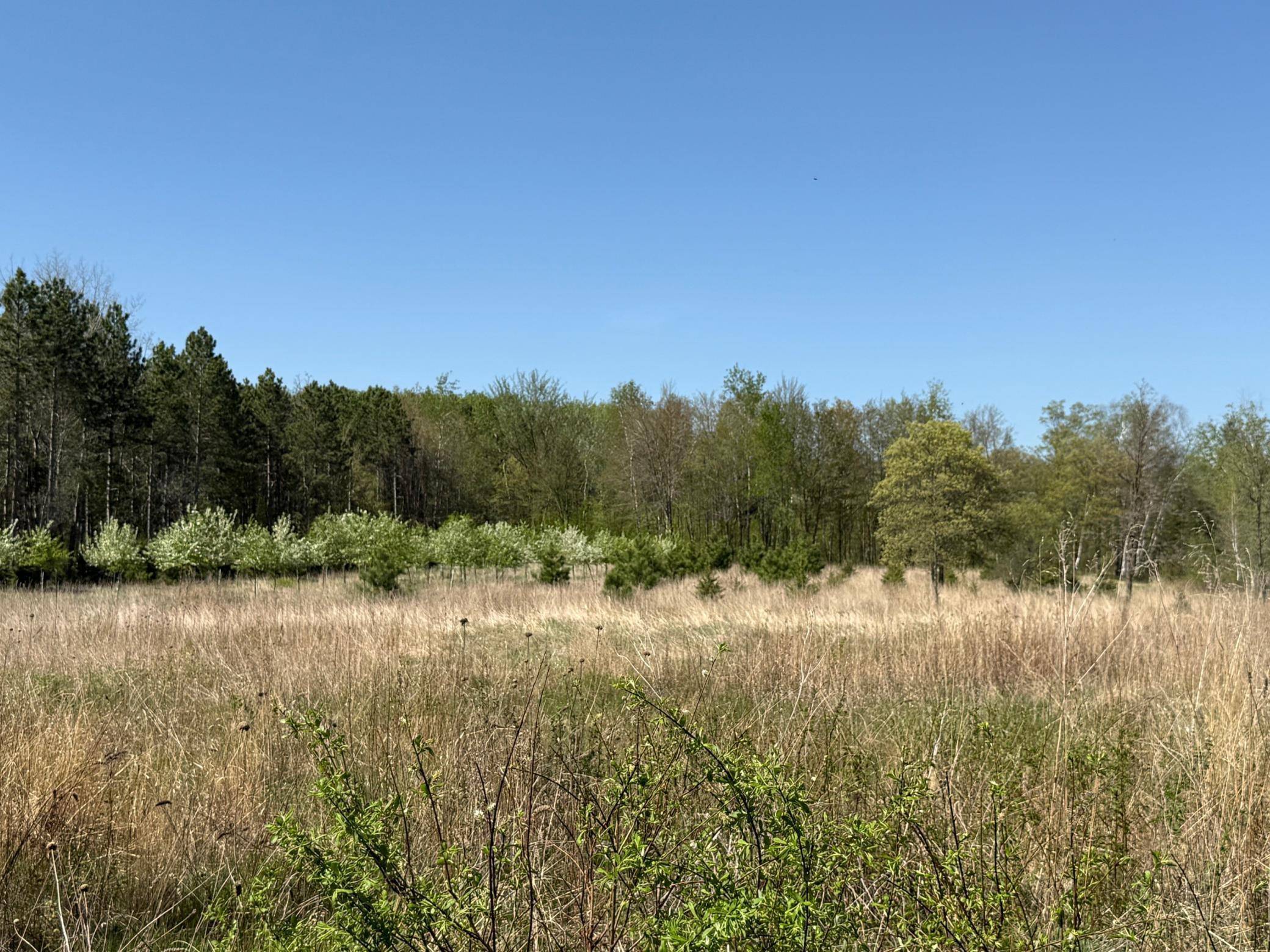 Pequot Lakes, MN 56472,6 Acre Lot Nagel RD