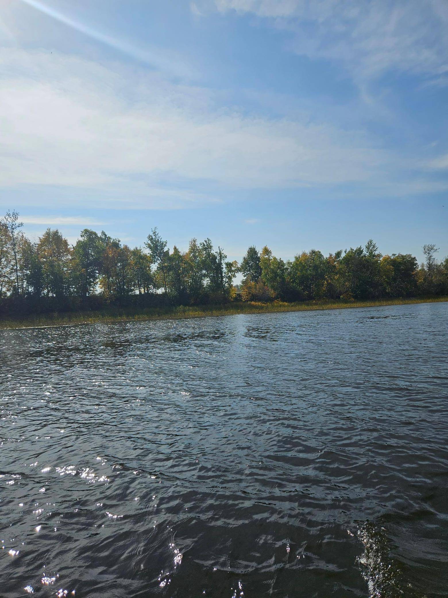 Baudette, MN 56623,tbd Hooper Creek Loop