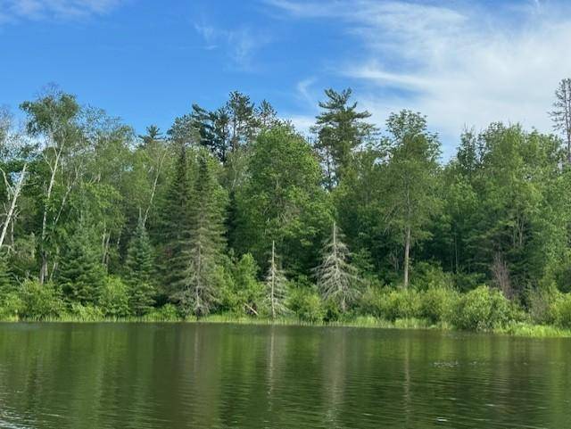 Remer, MN 56672,TBD S Thunder Lake DR NE