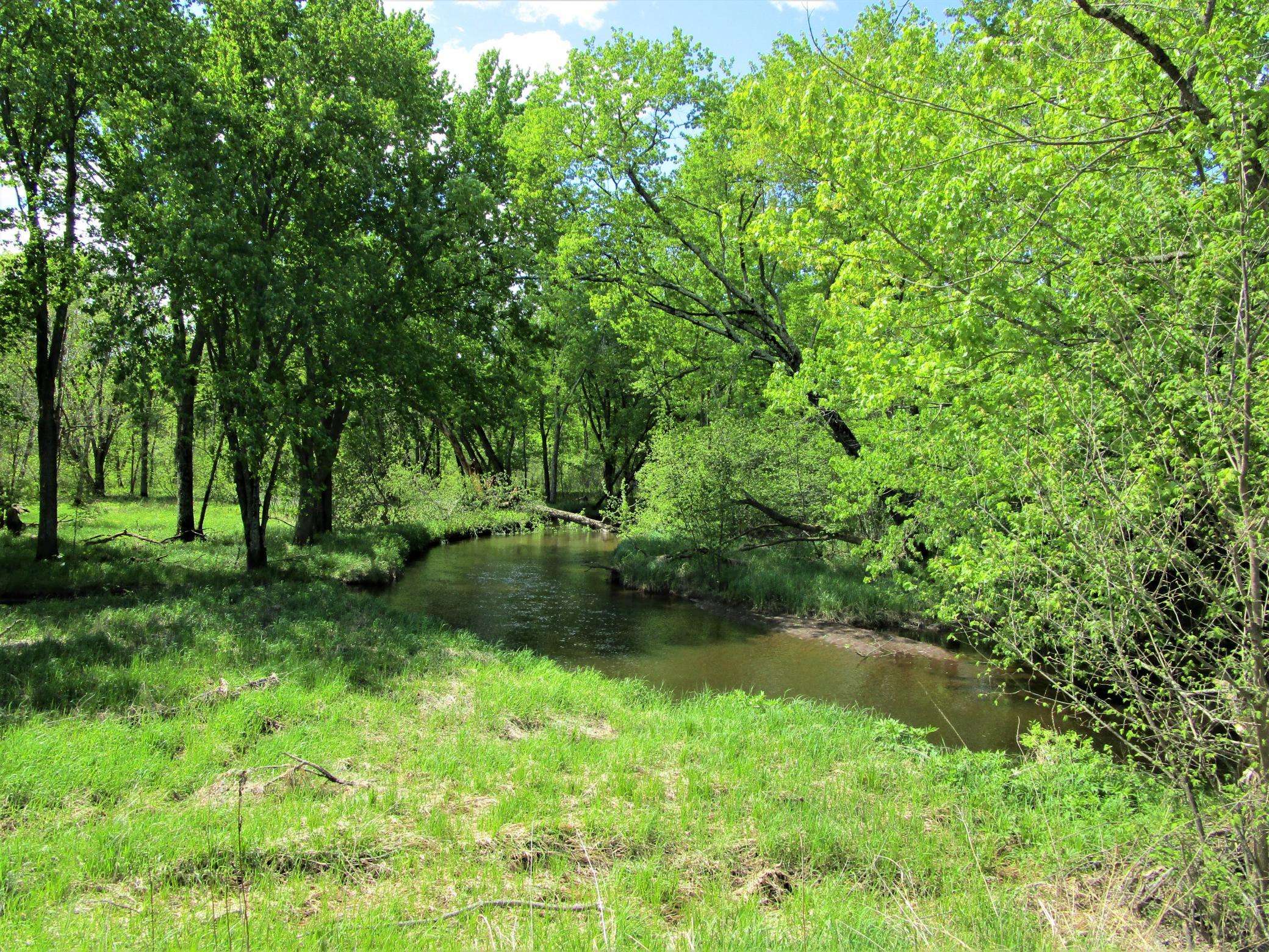 Frederic, WI 54837,Lot 1 85th ST