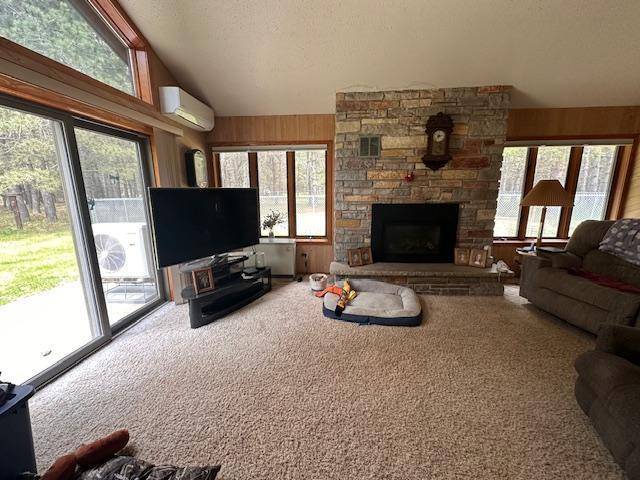 Biwabik Twp, MN 55741,6563 Sandy LN
