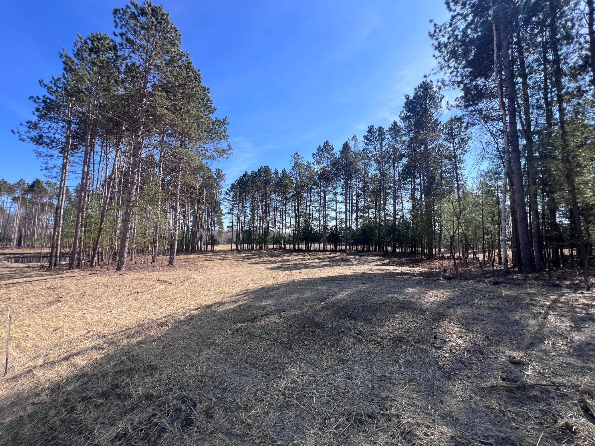 Bradford Twp, MN 55008,TBD3 317th CT NW