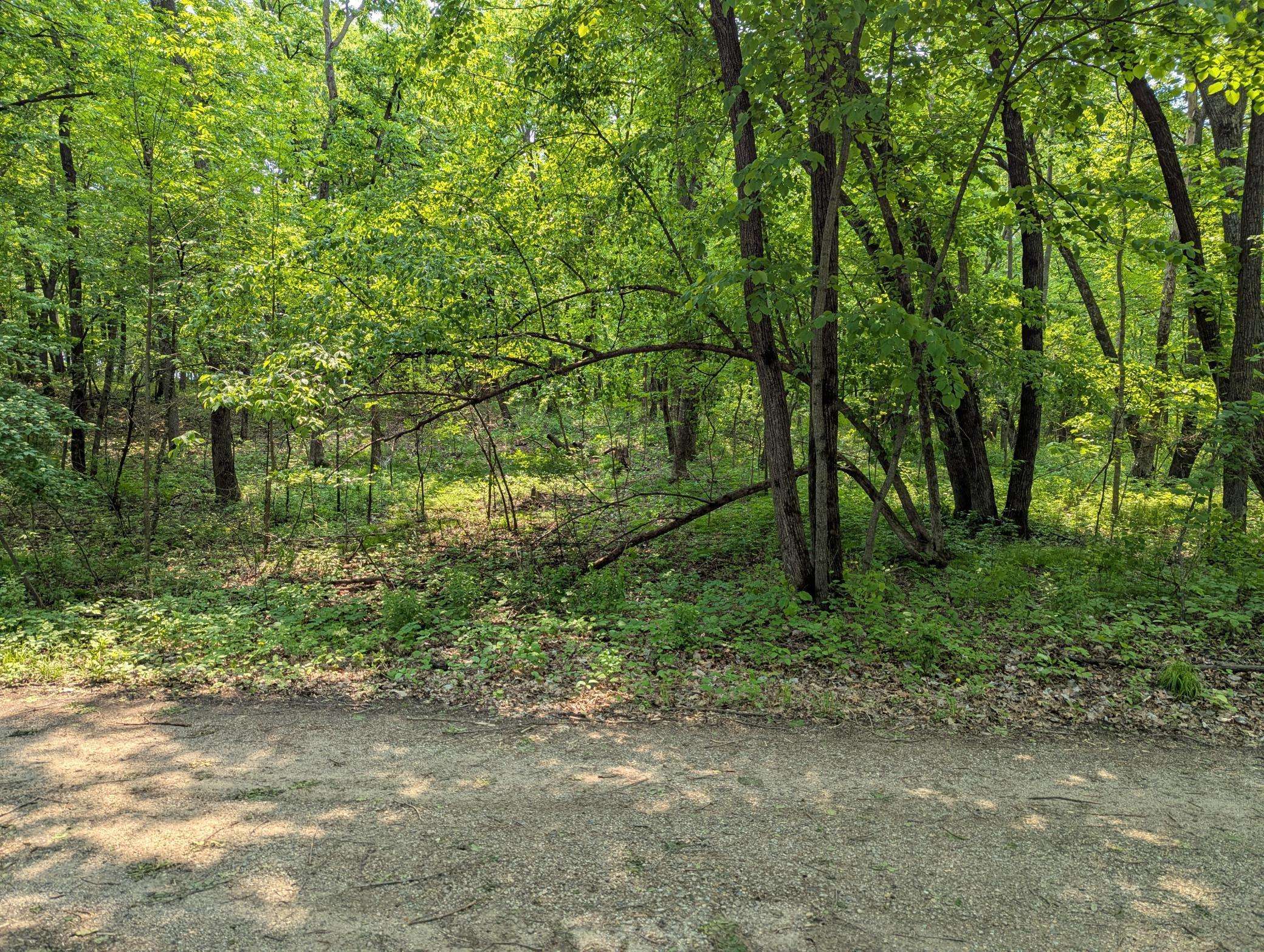 Paynesville Twp, MN 56362,30562 Bluebird RD