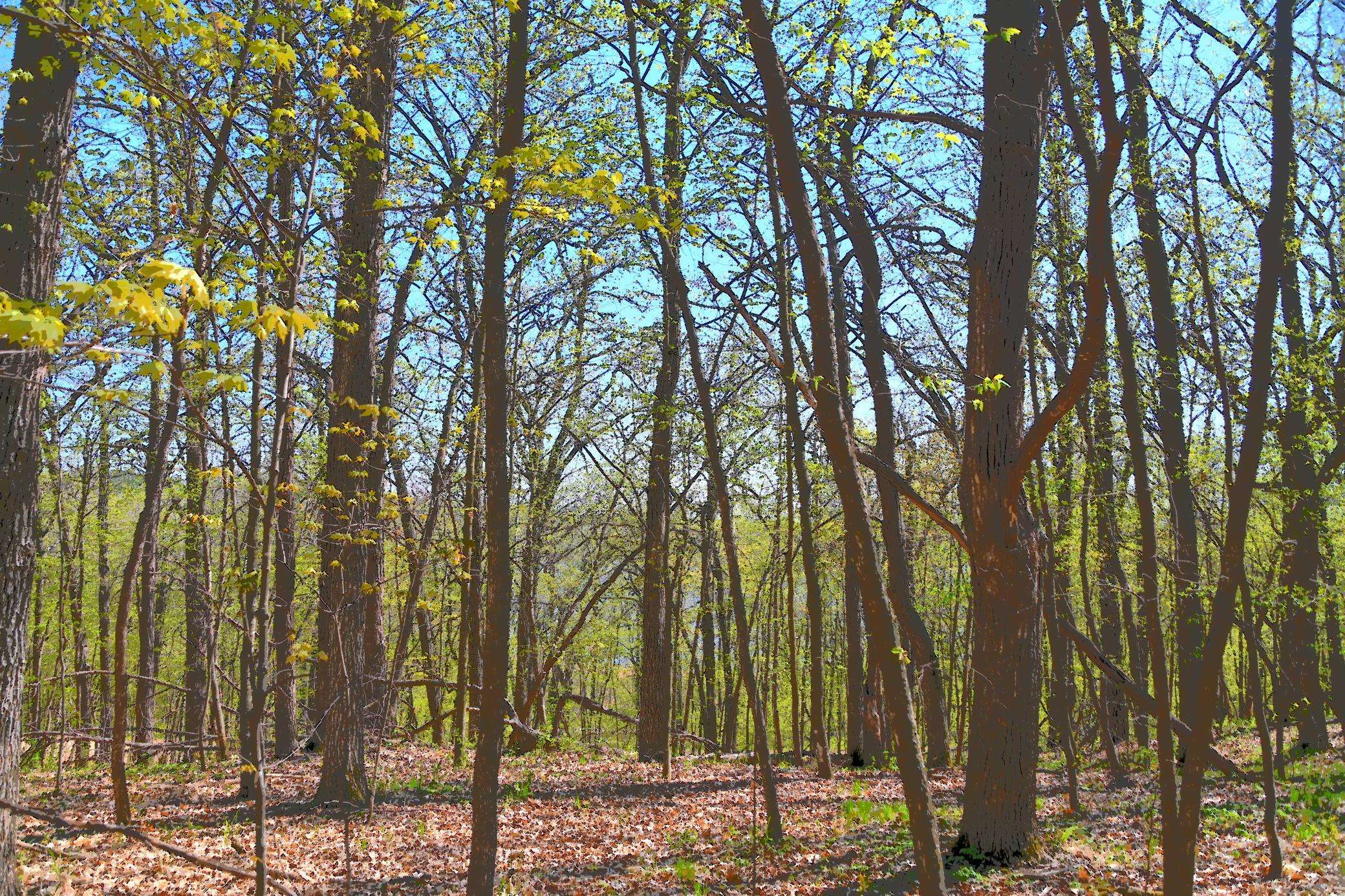 Fawn Lake Twp, MN 56438,8 392nd ST