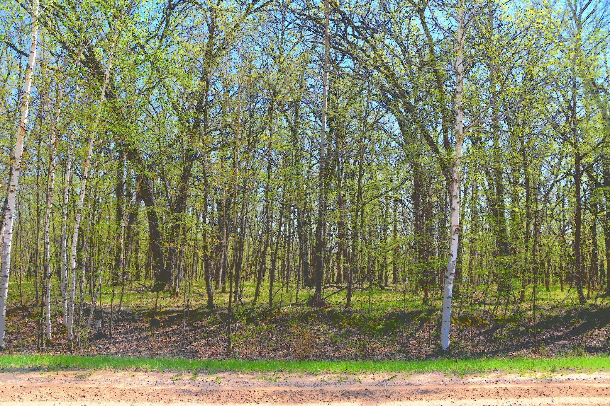 Fawn Lake Twp, MN 56438,8 392nd ST