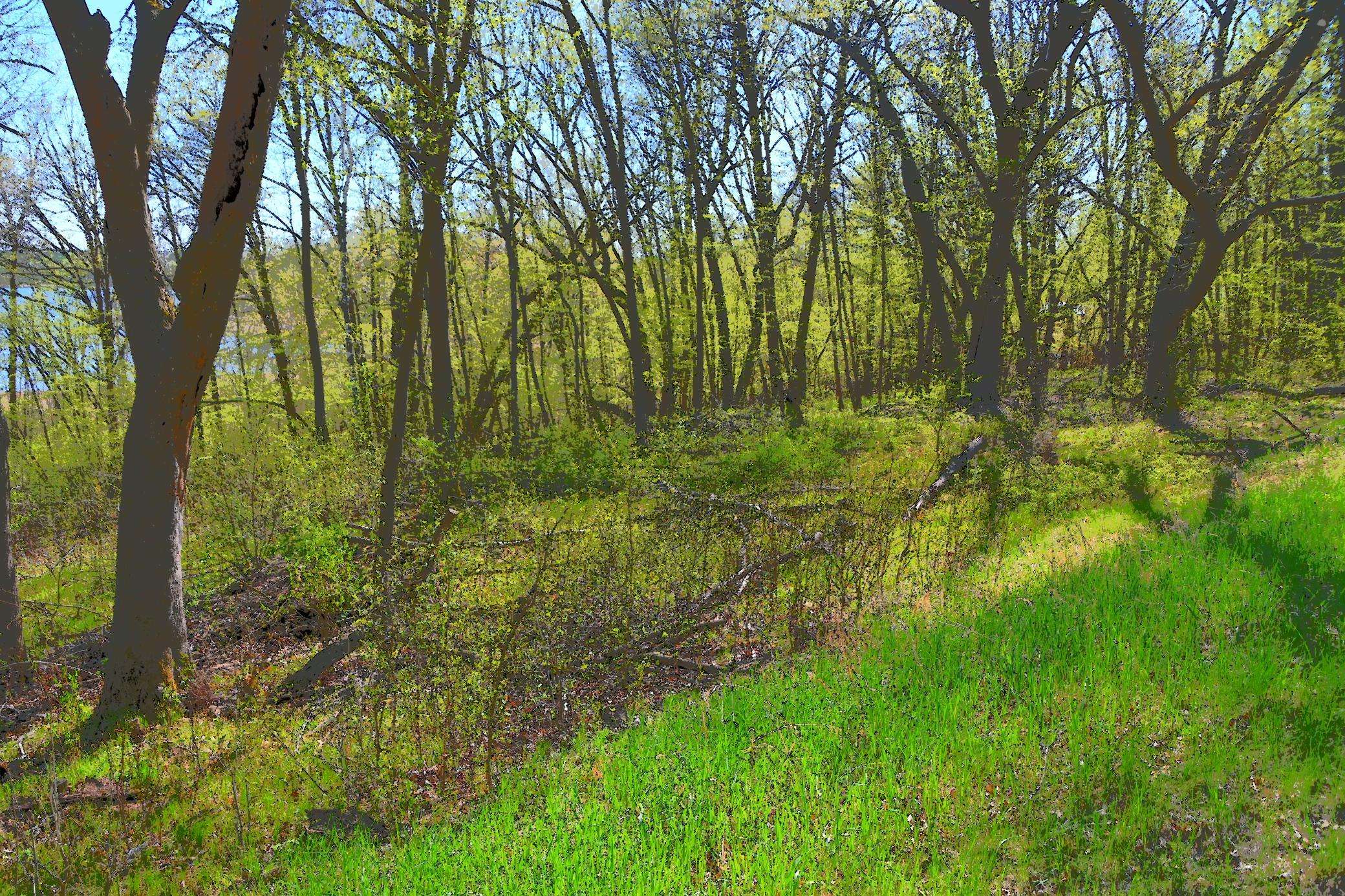 Fawn Lake Twp, MN 56438,51 Ottawa DR