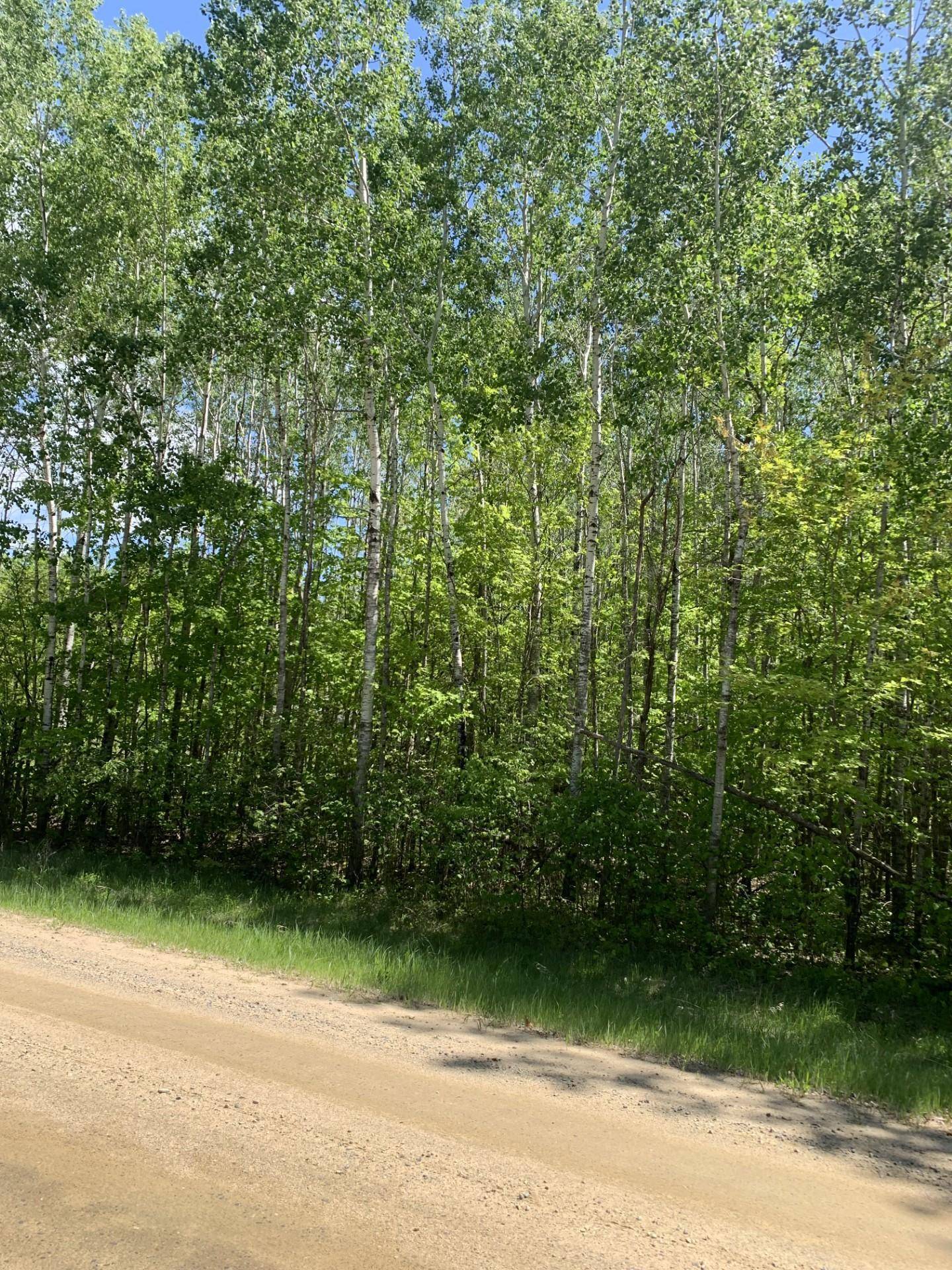Walker, MN 56484,TBD 63rd Ave N