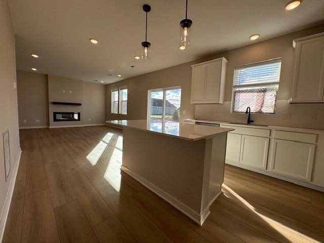 Blaine, MN 55449,12619 Fraizer ST NE