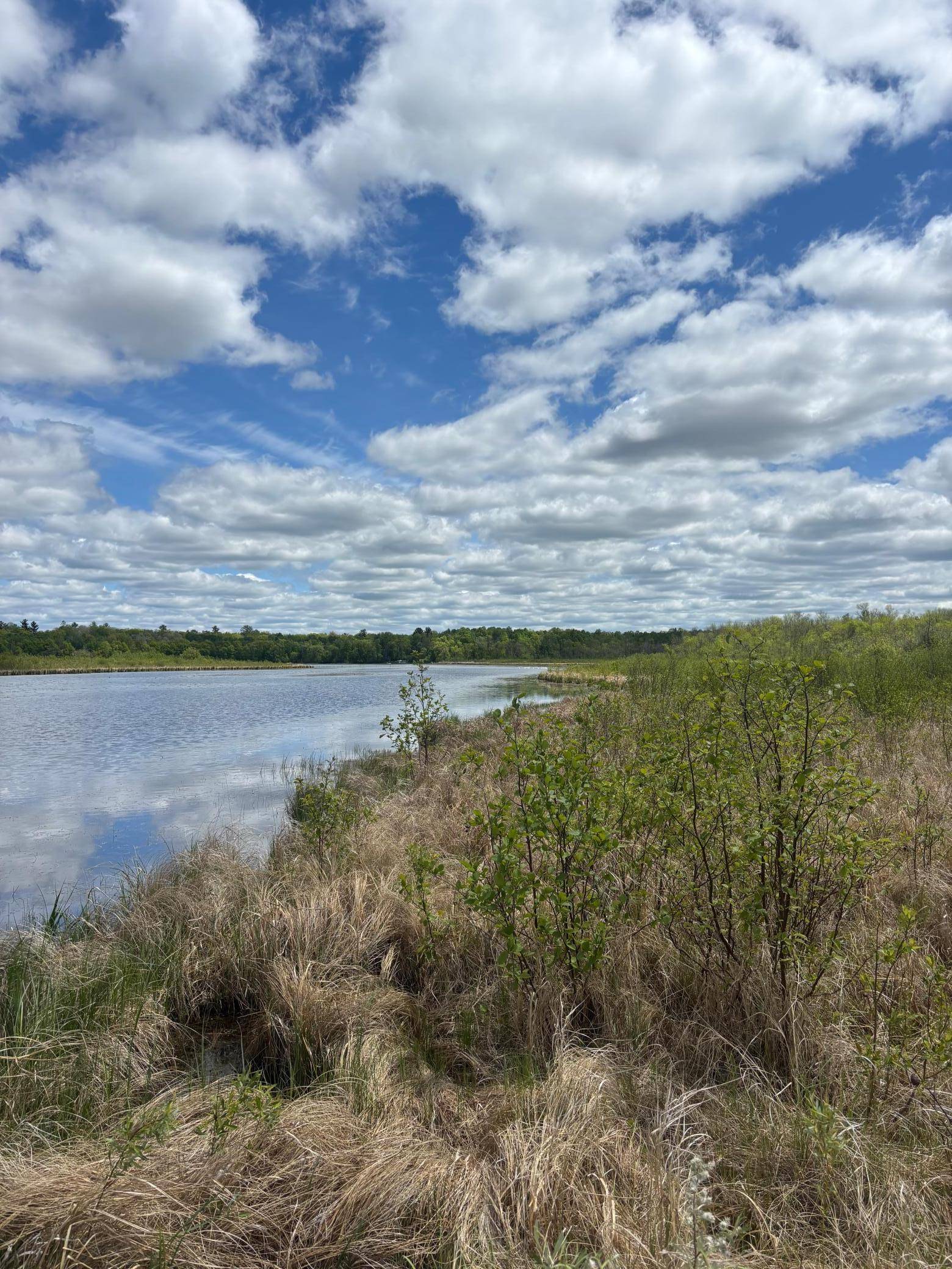 Gail Lake Twp, MN 56435,2948 Iowa DR