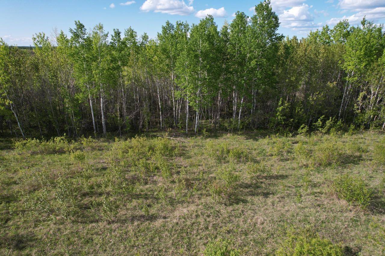 Baudette, MN 56623,TBD 39th Street SE