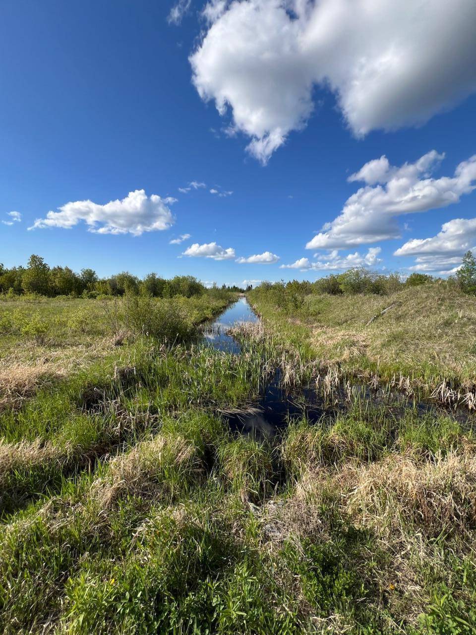 Baudette, MN 56623,TBD 39th Street SE