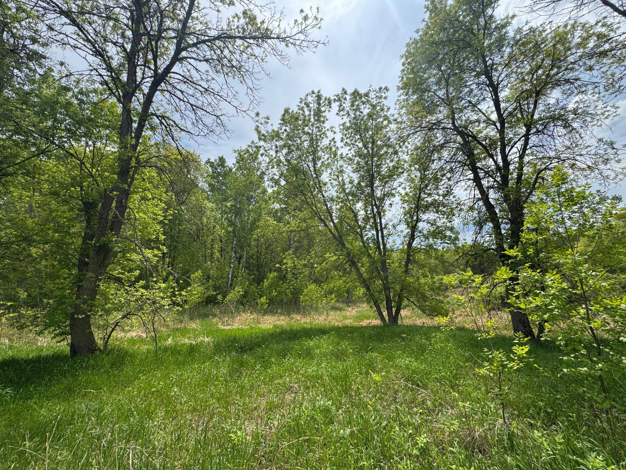 Walker, MN 56484,TBD1 Aurora DR