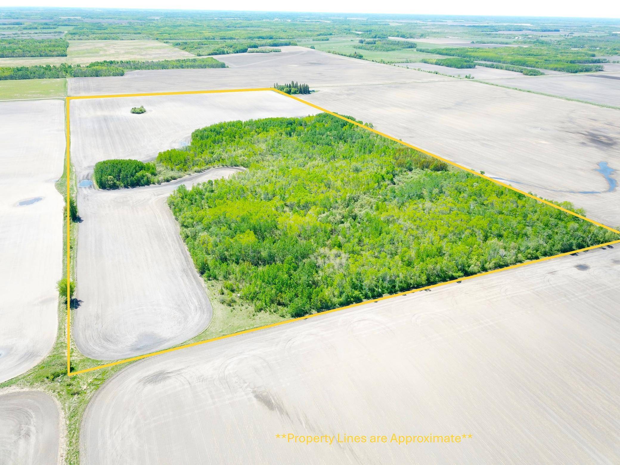 Strathcona, MN 56759,TBD 110th ST