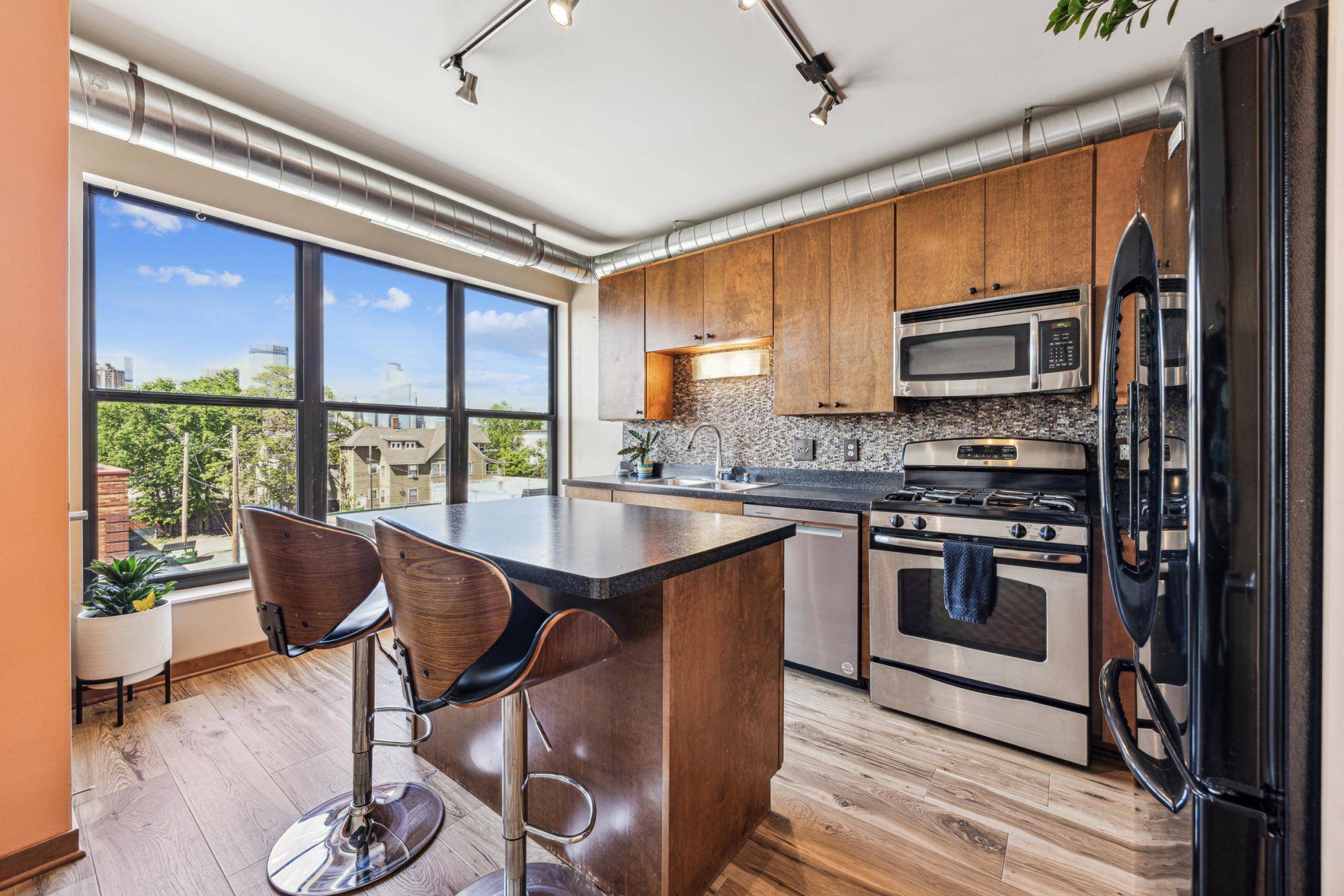 Minneapolis, MN 55404,15 E Franklin AVE #312