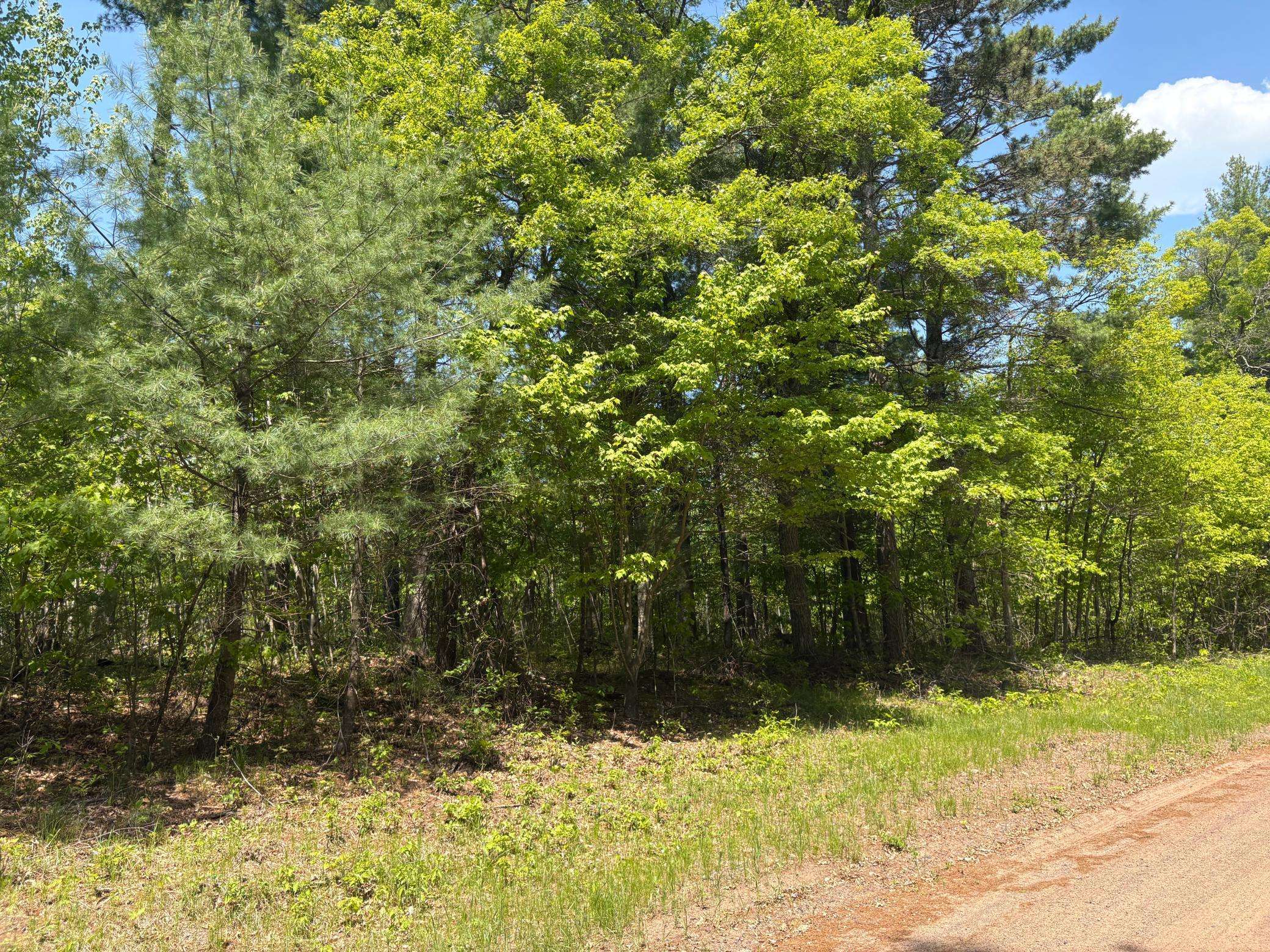 Jackson Twp, WI 54830,XXXXX Eagle Drive