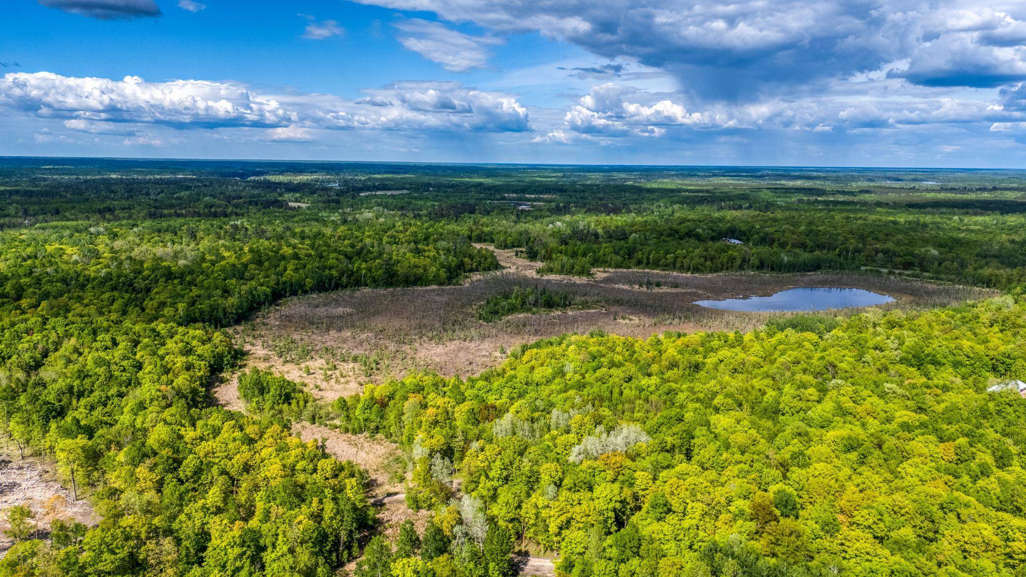 Bemidji, MN 56601,0000 Lamon RD NE