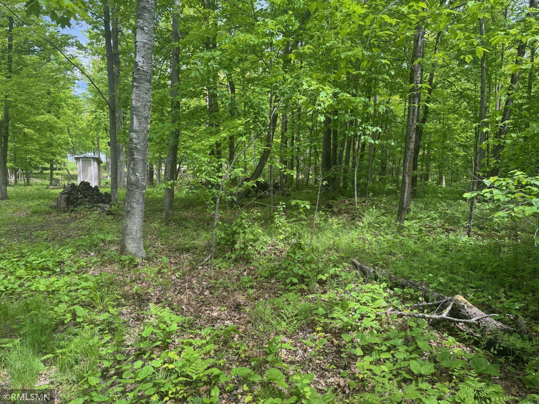 Mcgregor, MN 55760,TBD 186th AVE