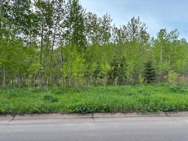 Duluth, MN 55811,XX W Myrtle St