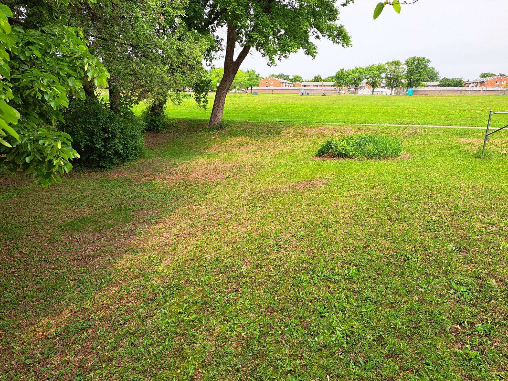 Maplewood, MN 55117,487 Roselawn AVE E